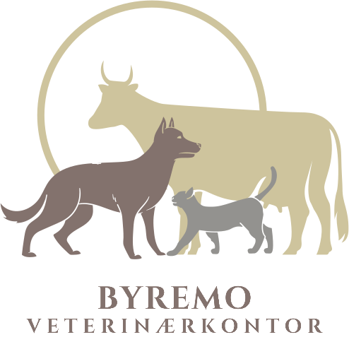 Byremo veterinærkontor — ku, hund og katt