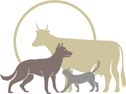 Byremo veterinærkontor